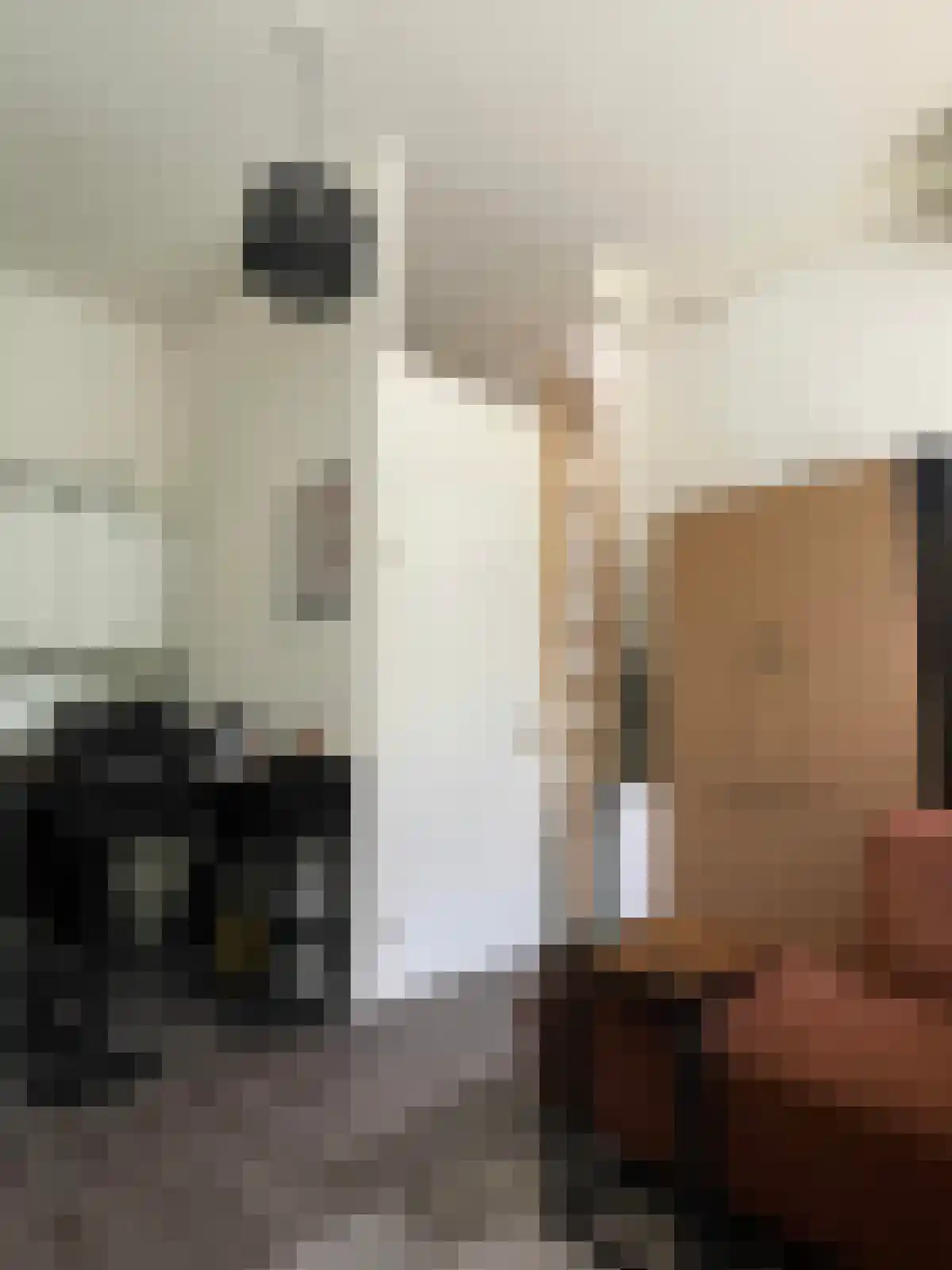 Heresingel 22 Groningen thumbnail 5