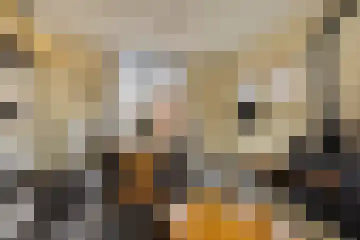 Heresstraat 11 Oude Pekela thumbnail 10