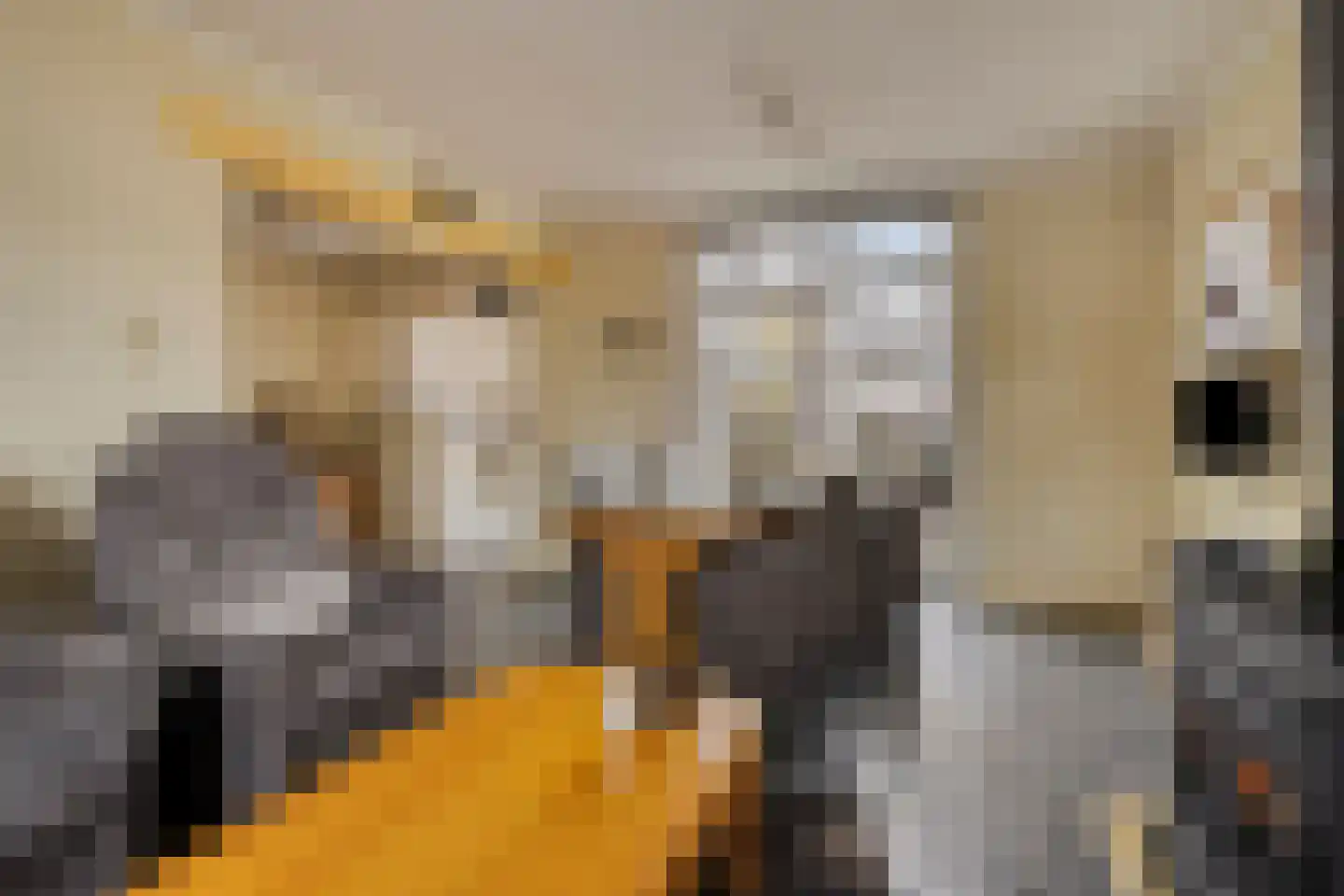 Heresstraat 11 Oude Pekela thumbnail 10