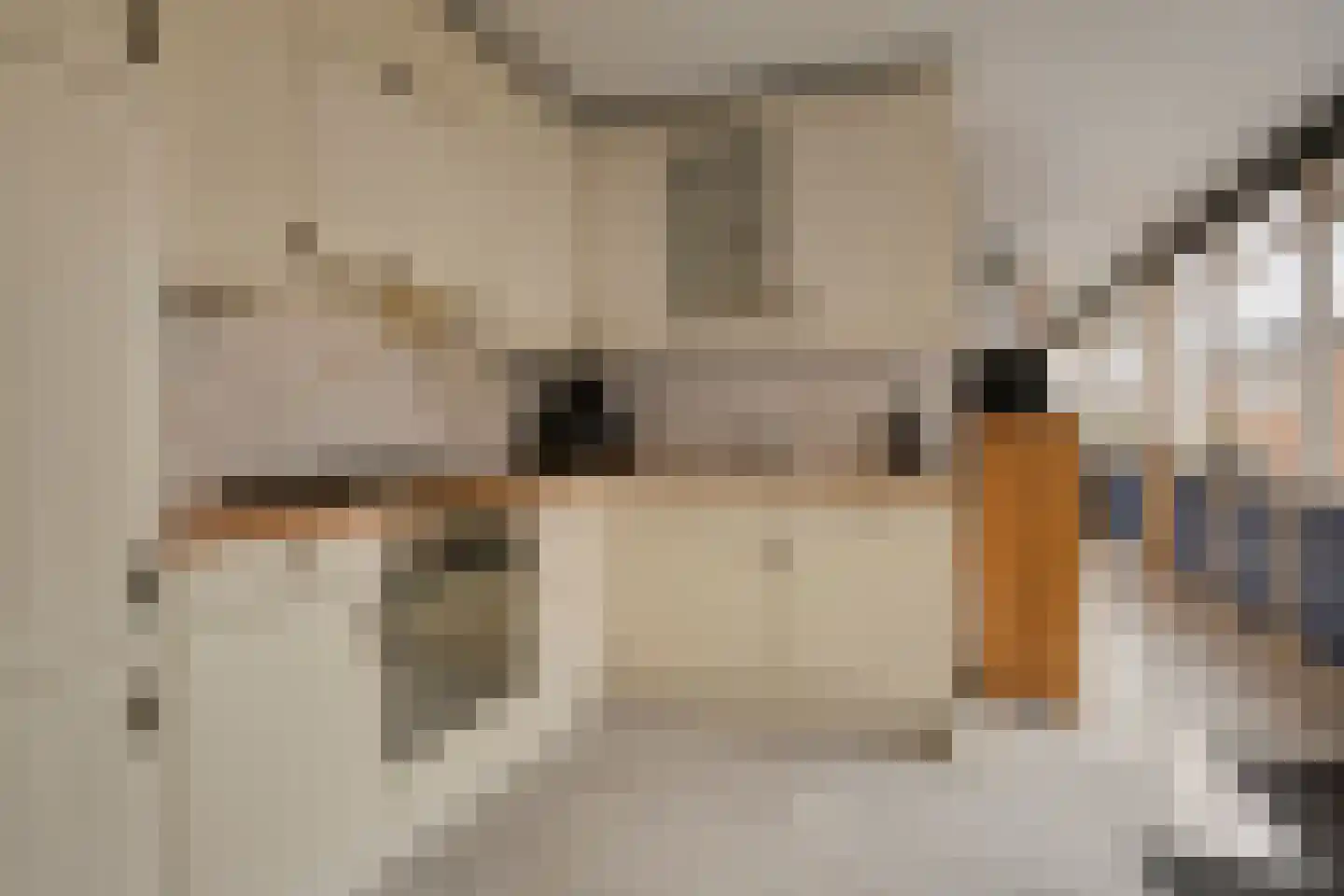 Heresstraat 11 Oude Pekela thumbnail 14