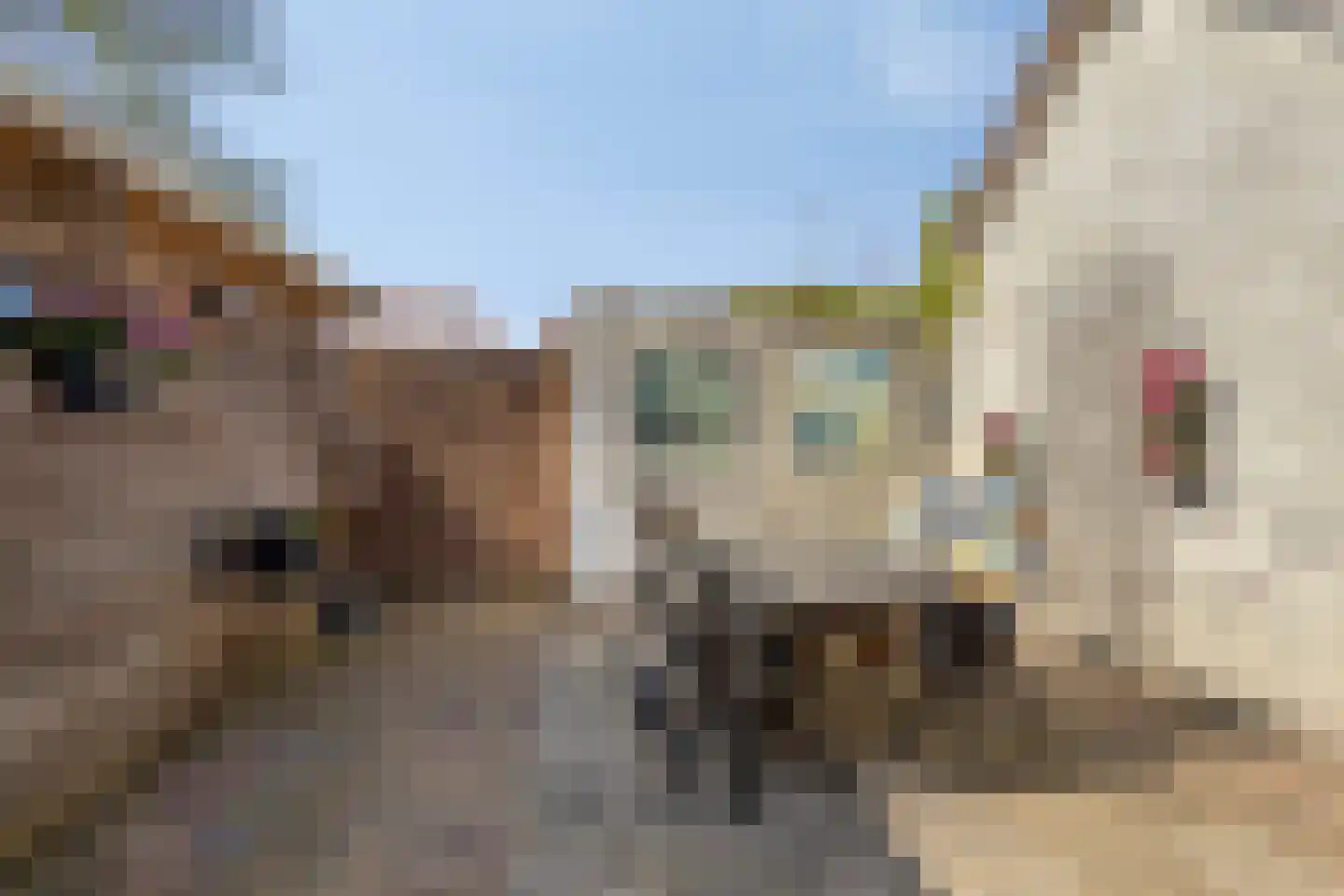 Heresstraat 11 Oude Pekela thumbnail 35