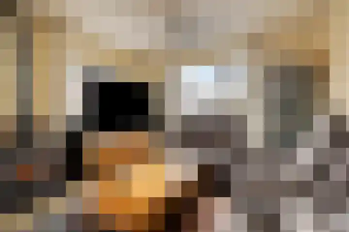 Heresstraat 11 Oude Pekela thumbnail 7