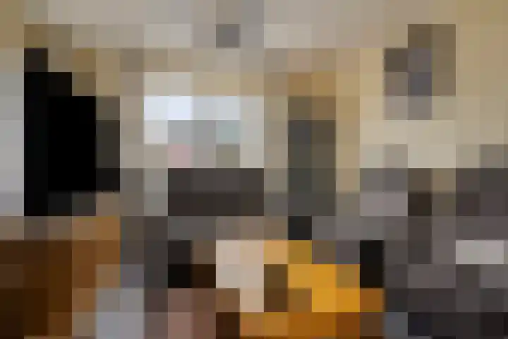 Heresstraat 11 Oude Pekela thumbnail 8