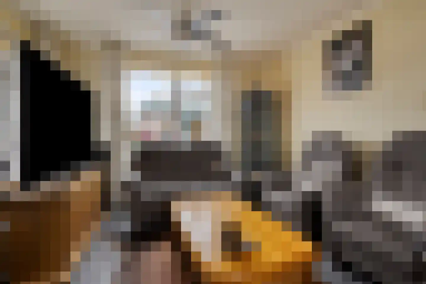 Heresstraat 11 Oude Pekela thumbnail 9