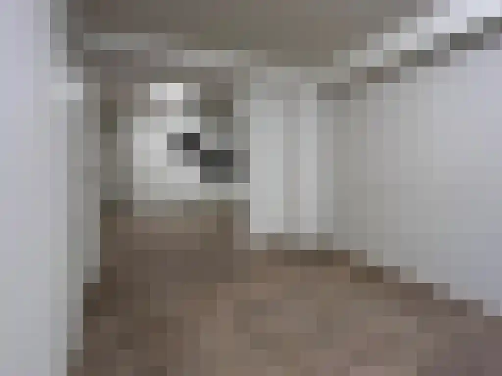 Herestraat 113 Groningen thumbnail 4