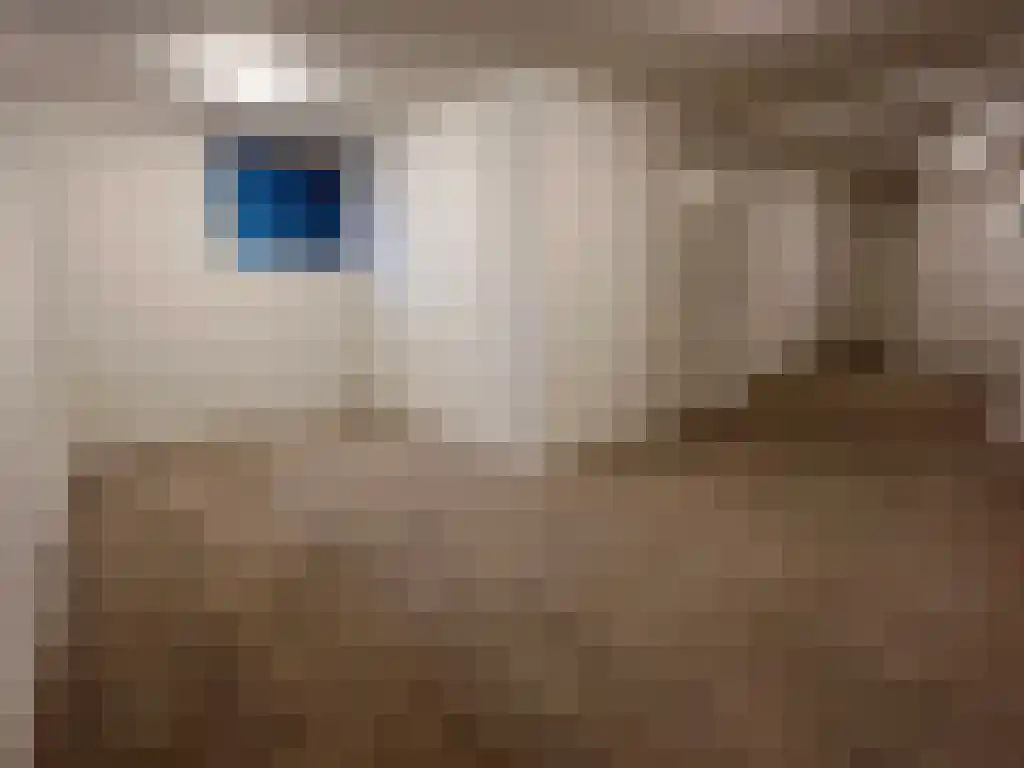 Herestraat 113 Groningen thumbnail 5