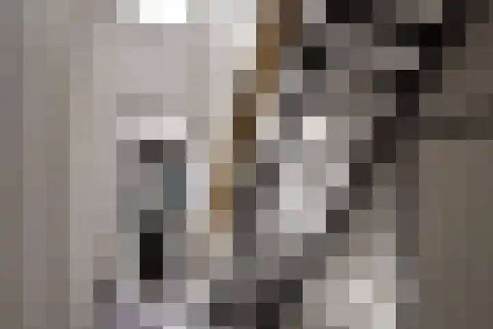 Herestraat 15 Grijpskerk thumbnail 11