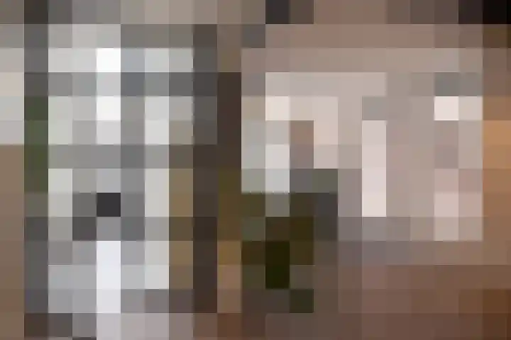Herestraat 15 Grijpskerk thumbnail 15