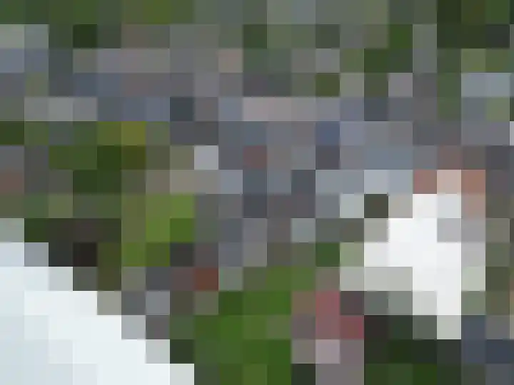 Herestraat 15 Grijpskerk thumbnail 36
