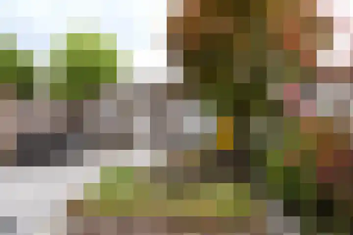 Herestraat 15 Grijpskerk thumbnail 37