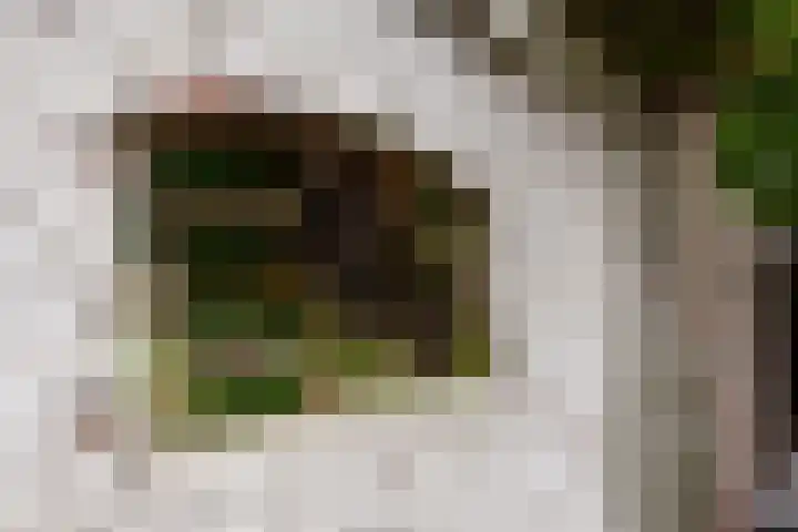 Herestraat 15 Grijpskerk thumbnail 38