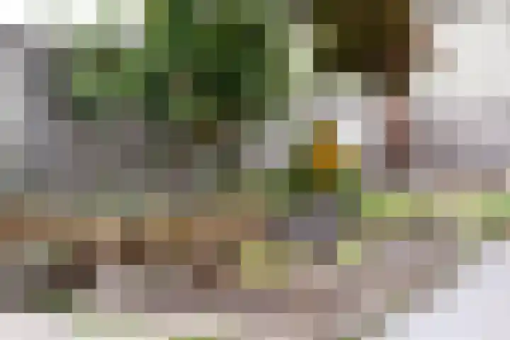 Herestraat 15 Grijpskerk thumbnail 39
