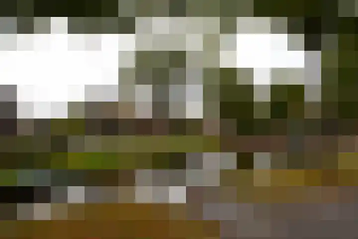 Herestraat 15 Grijpskerk thumbnail 42