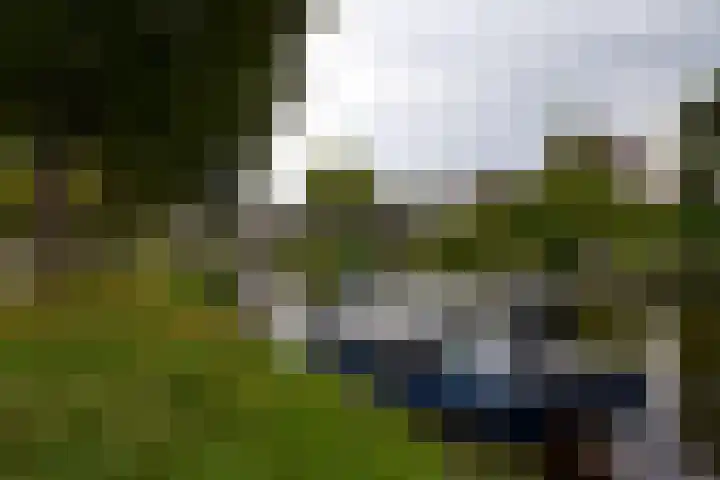Herestraat 15 Grijpskerk thumbnail 43