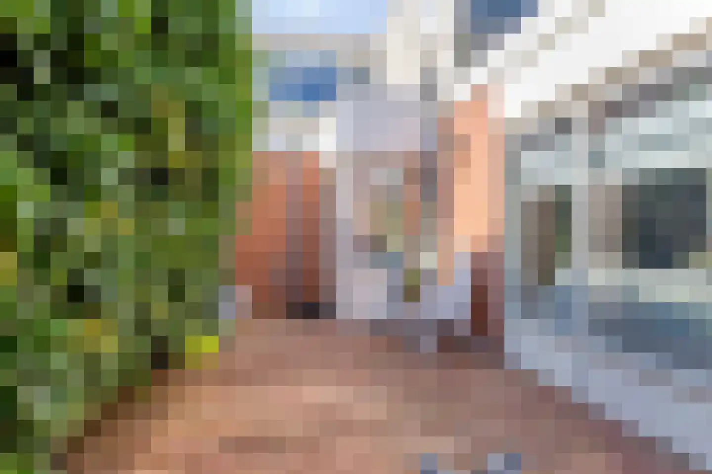 Herestraat 23 Grijpskerk thumbnail 38