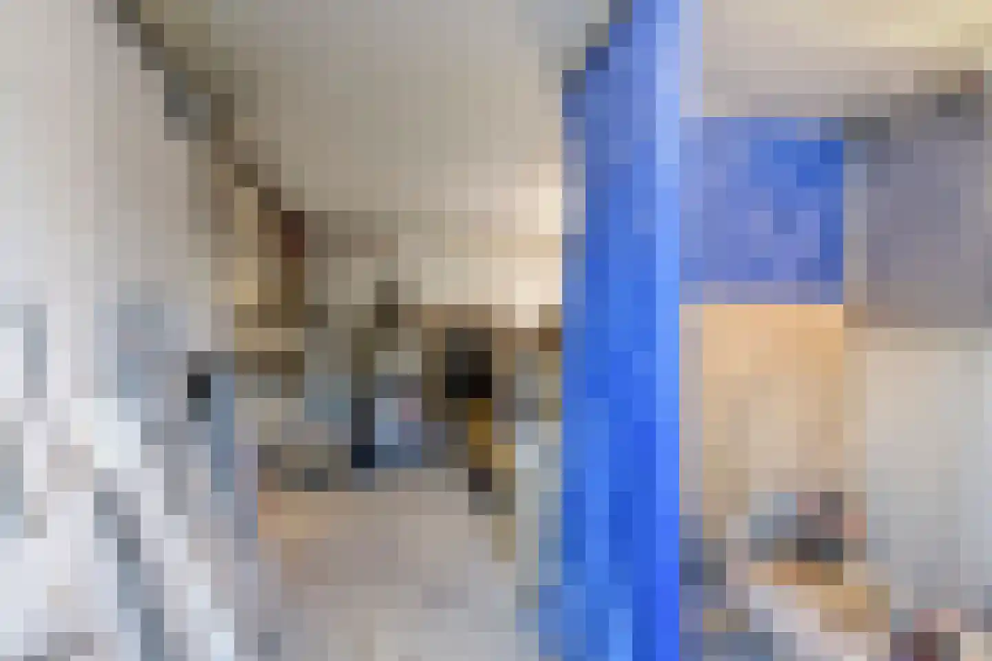 Herestraat 23 Grijpskerk thumbnail 41