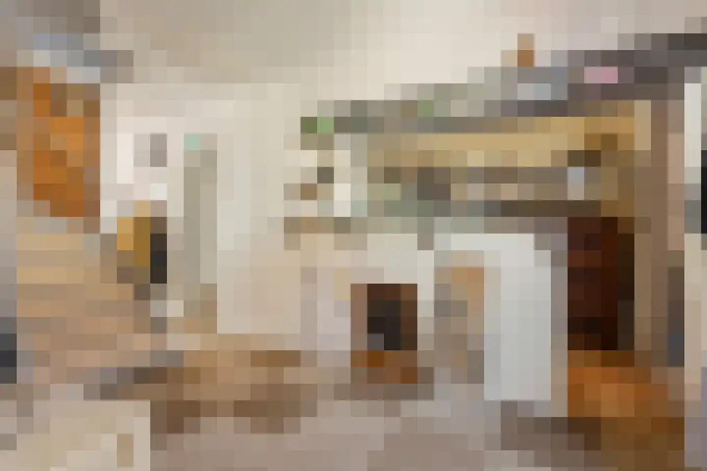 Herestraat 25 Burum thumbnail 16