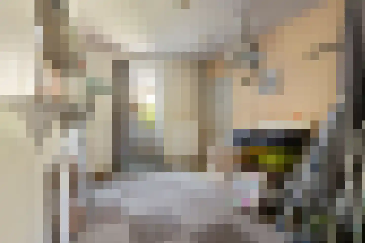 Herestraat 25 Burum thumbnail 17