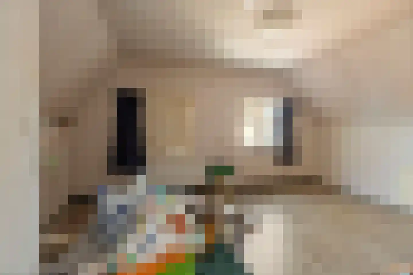 Herestraat 25 Burum thumbnail 23