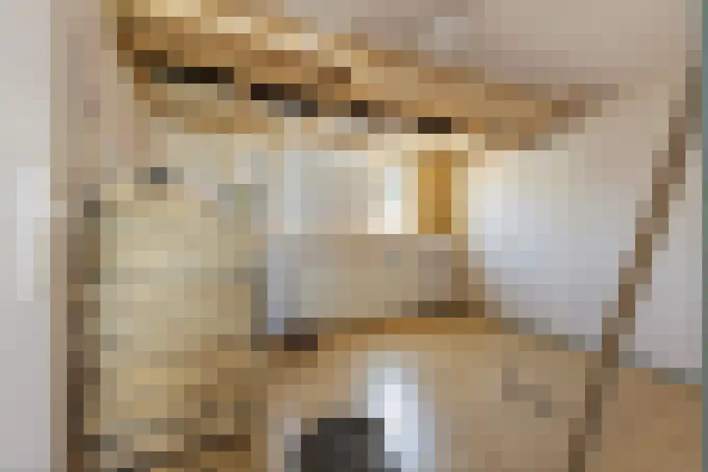 Herestraat 25 Burum thumbnail 24