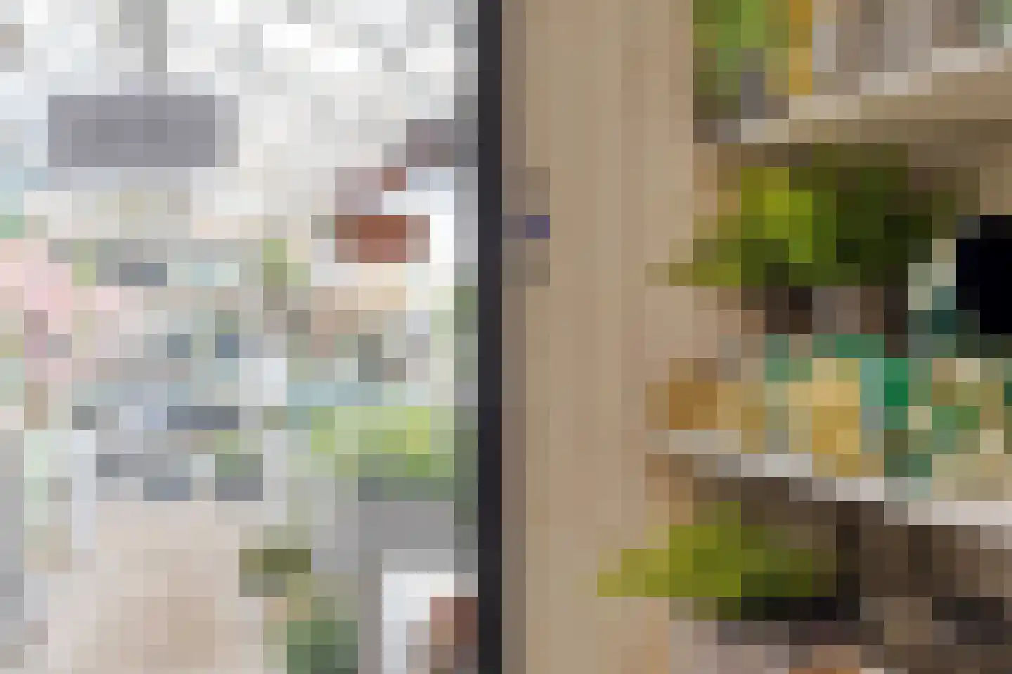 Herestraat 27 Grijpskerk thumbnail 10