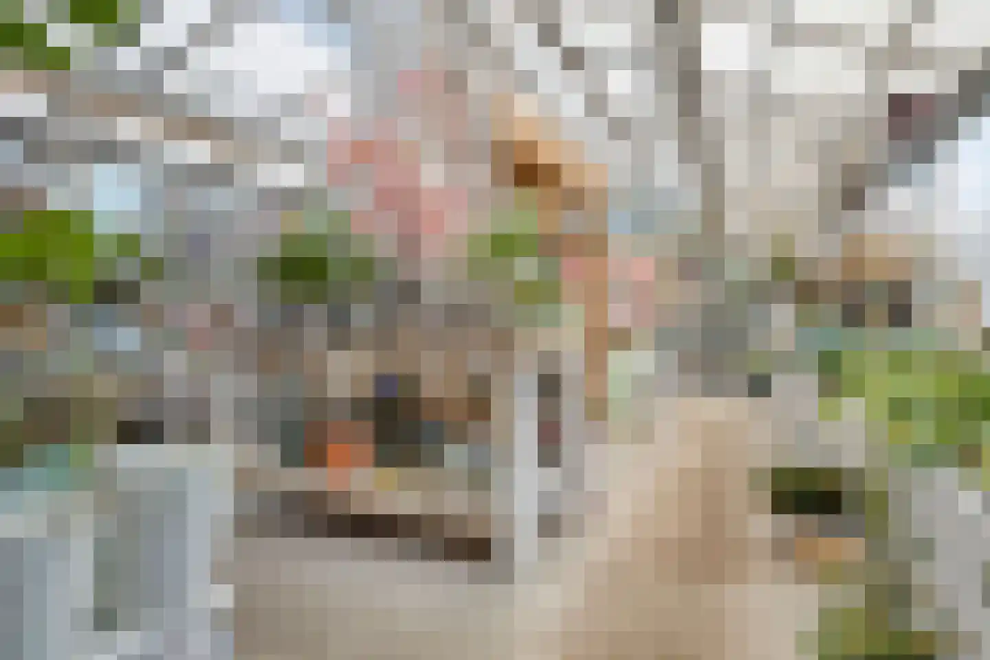 Herestraat 27 Grijpskerk thumbnail 11
