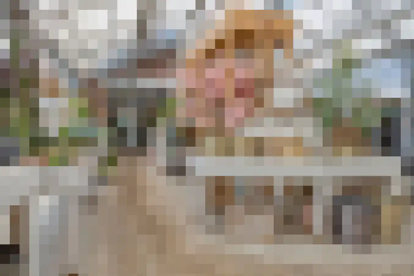 Herestraat 27 Grijpskerk thumbnail 12