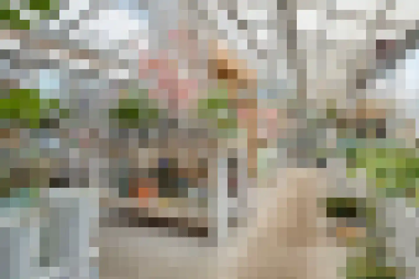 Herestraat 27 Grijpskerk thumbnail 12