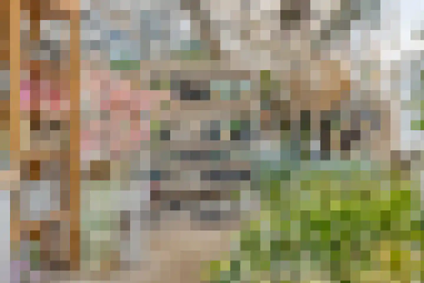 Herestraat 27 Grijpskerk thumbnail 13