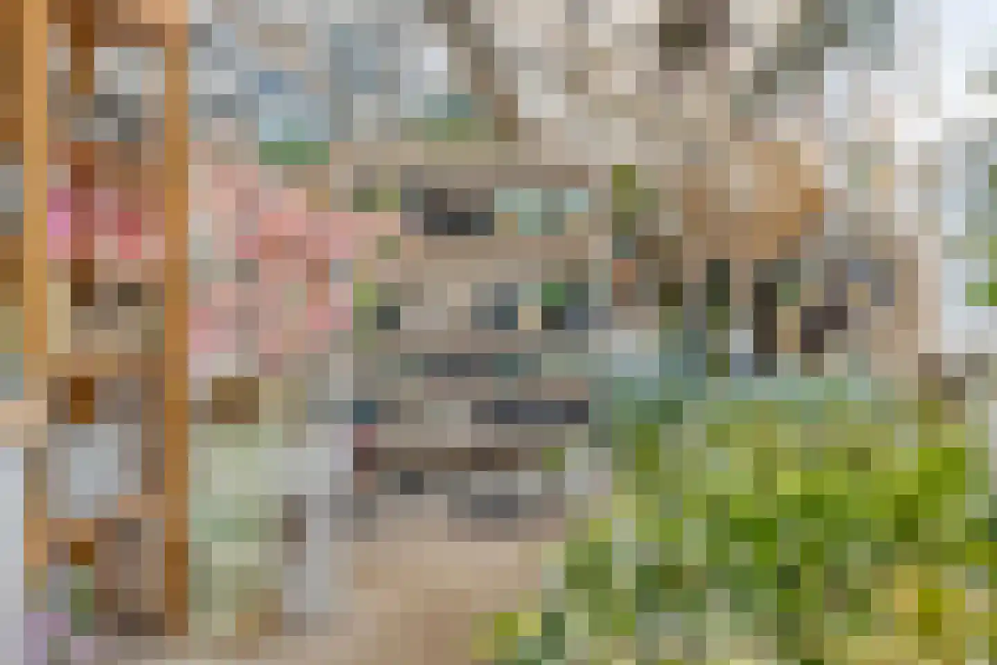 Herestraat 27 Grijpskerk thumbnail 14