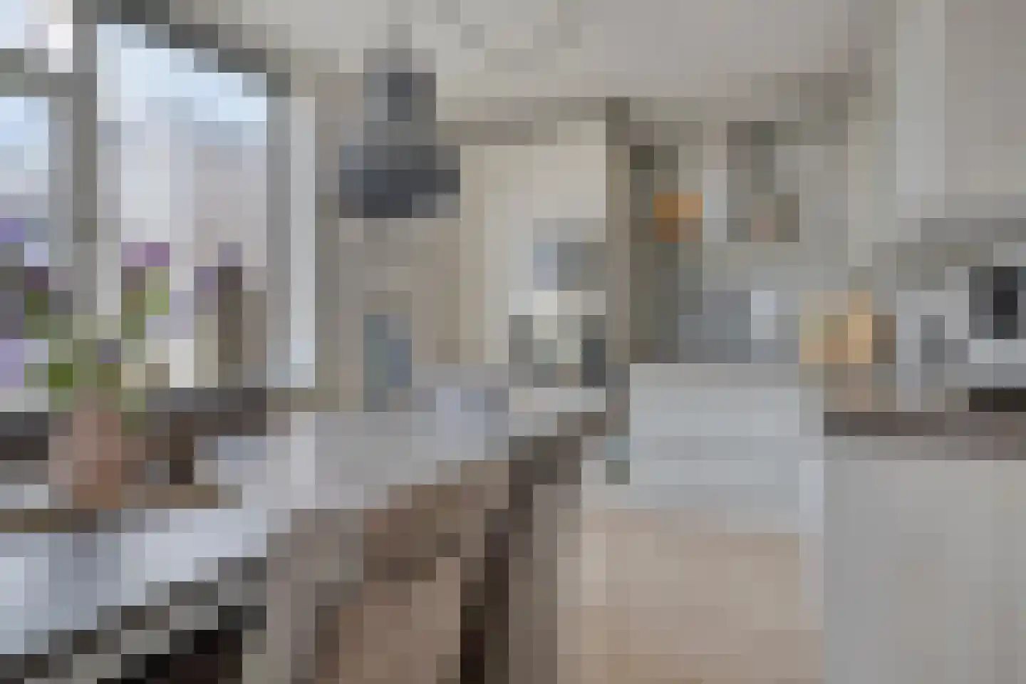 Herestraat 27 Grijpskerk thumbnail 21