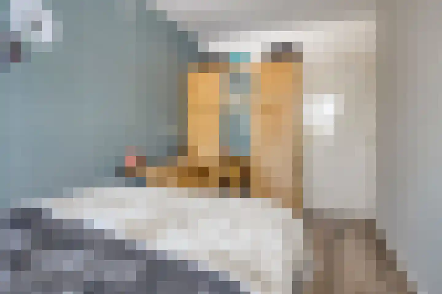 Herestraat 27 Grijpskerk thumbnail 41