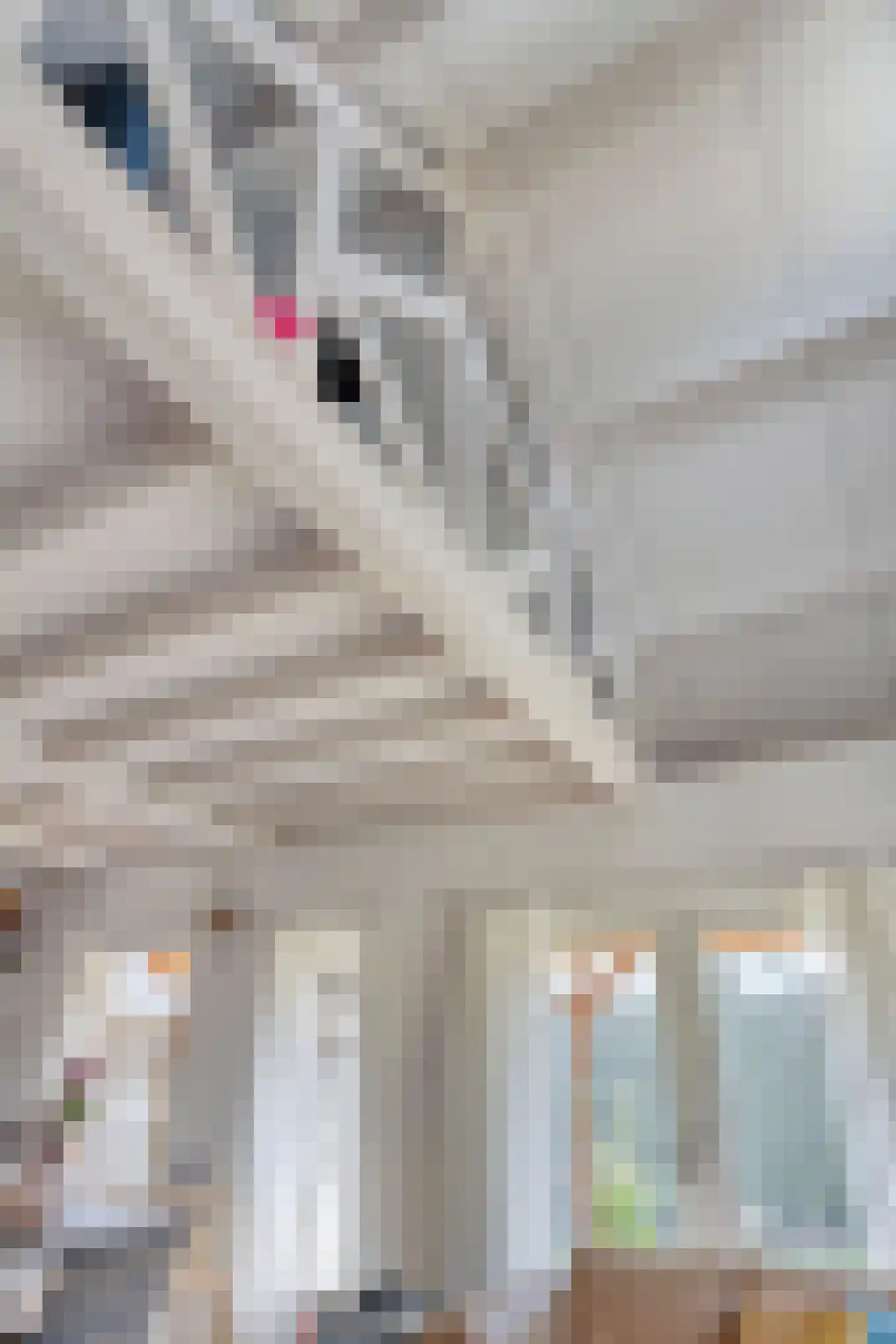 Herestraat 27 Grijpskerk thumbnail 55
