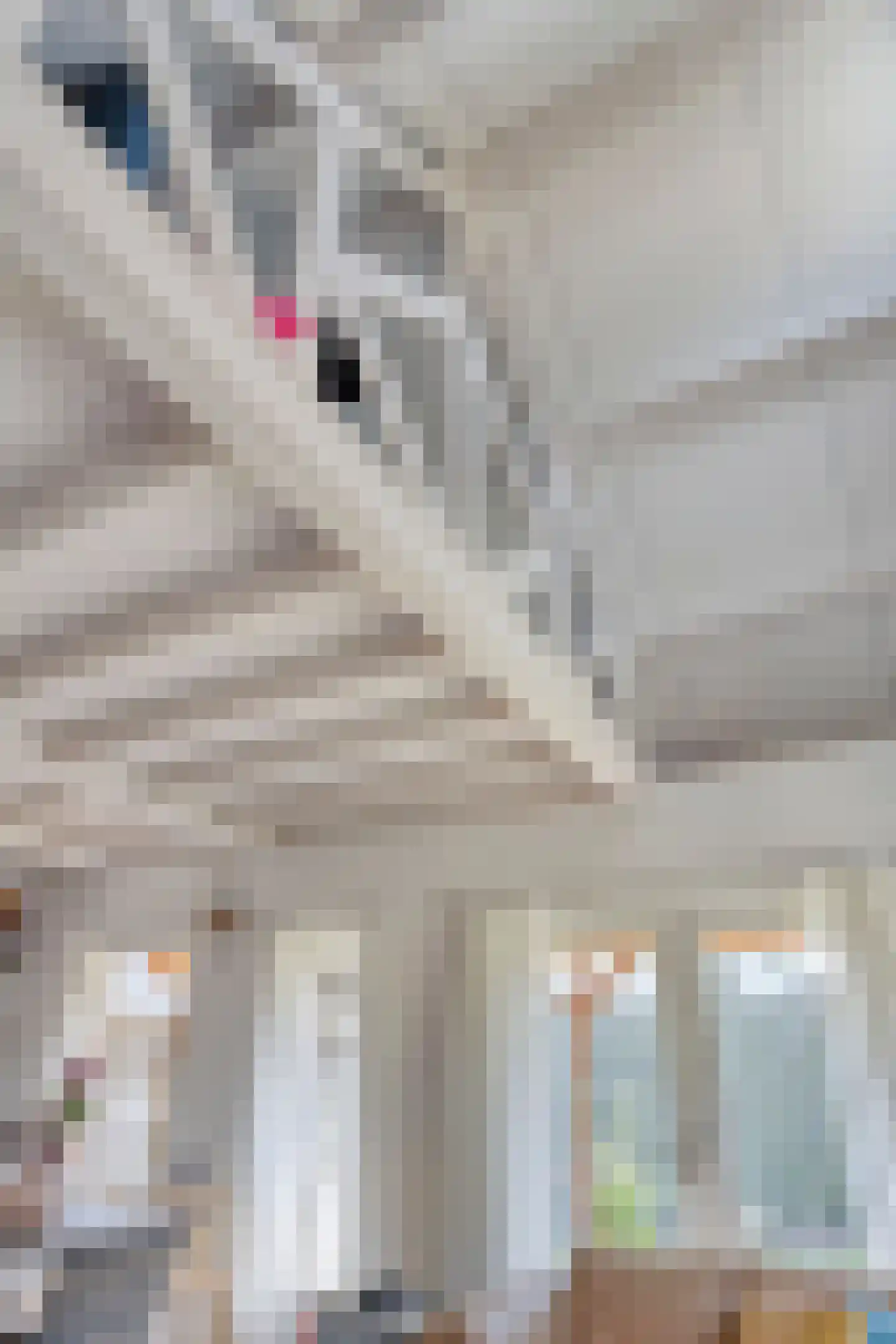 Herestraat 27 Grijpskerk thumbnail 56