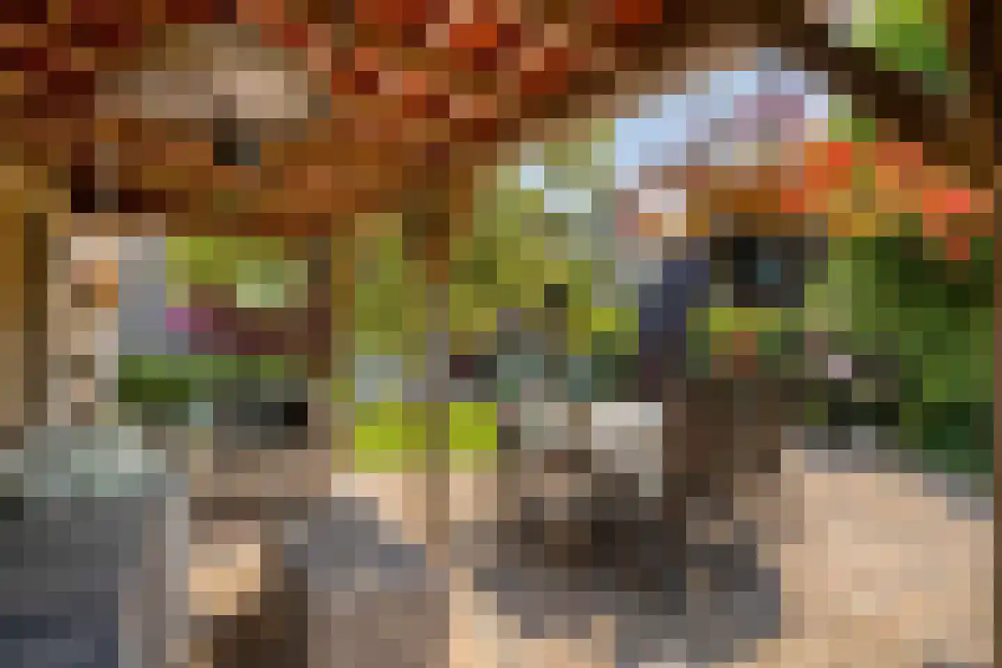 Herestraat 27 Grijpskerk thumbnail 59