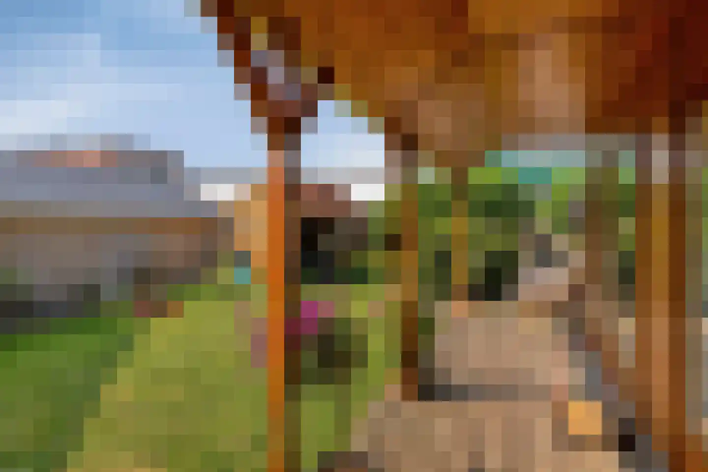 Herestraat 27 Grijpskerk thumbnail 63