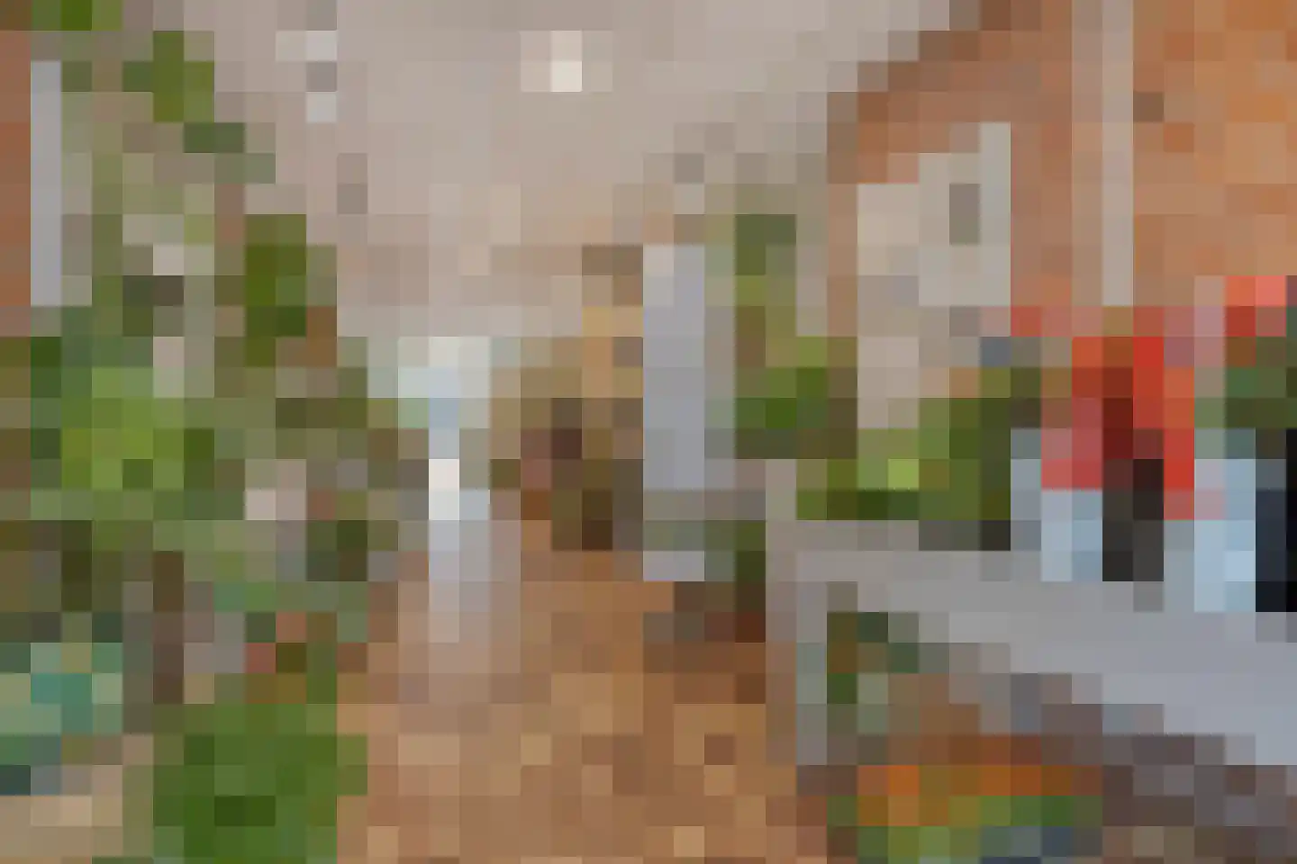 Herestraat 27 Grijpskerk thumbnail 9