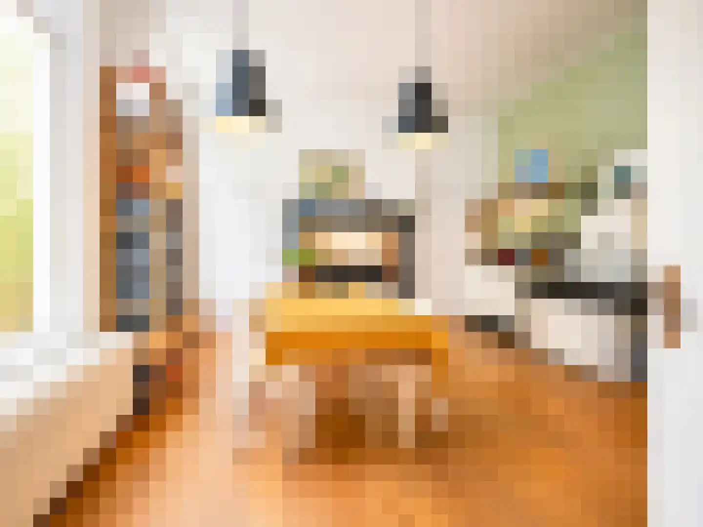 Herestraat 88 Groningen thumbnail 14