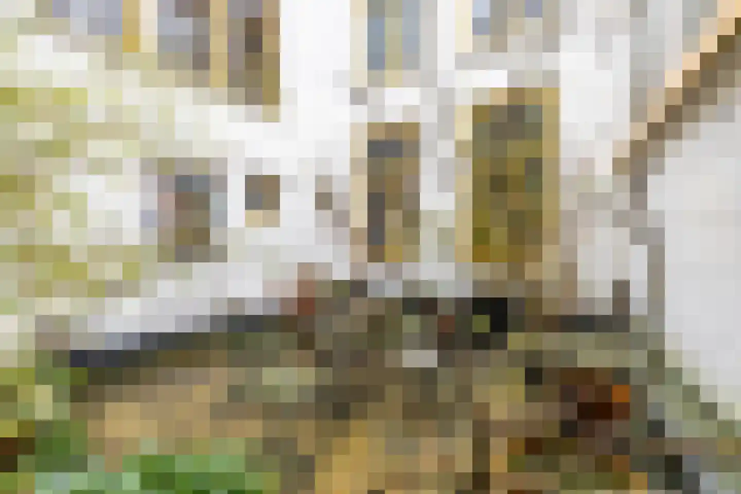 Herestraat 88 Groningen thumbnail 15