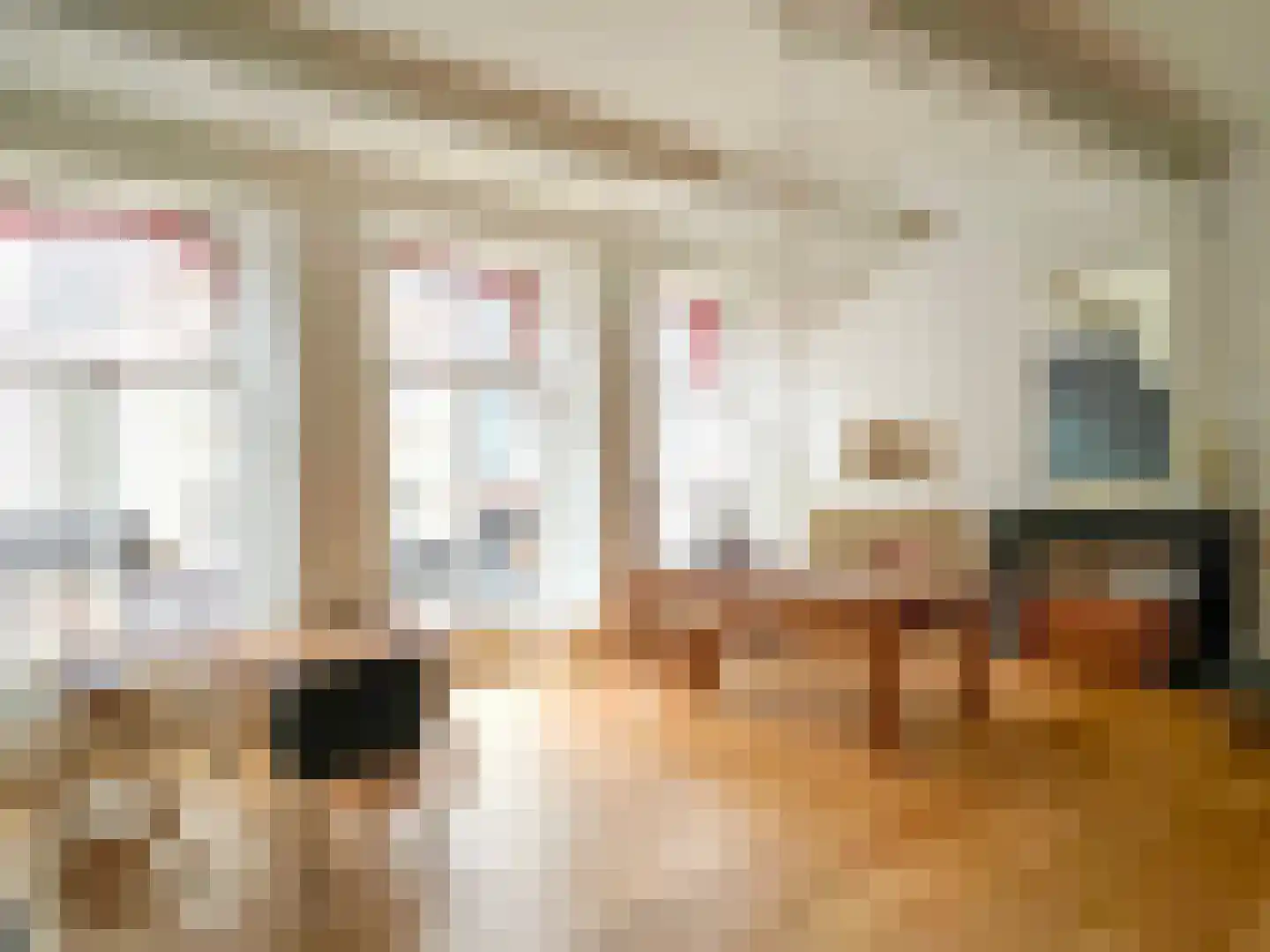 Herestraat 88 Groningen thumbnail 23