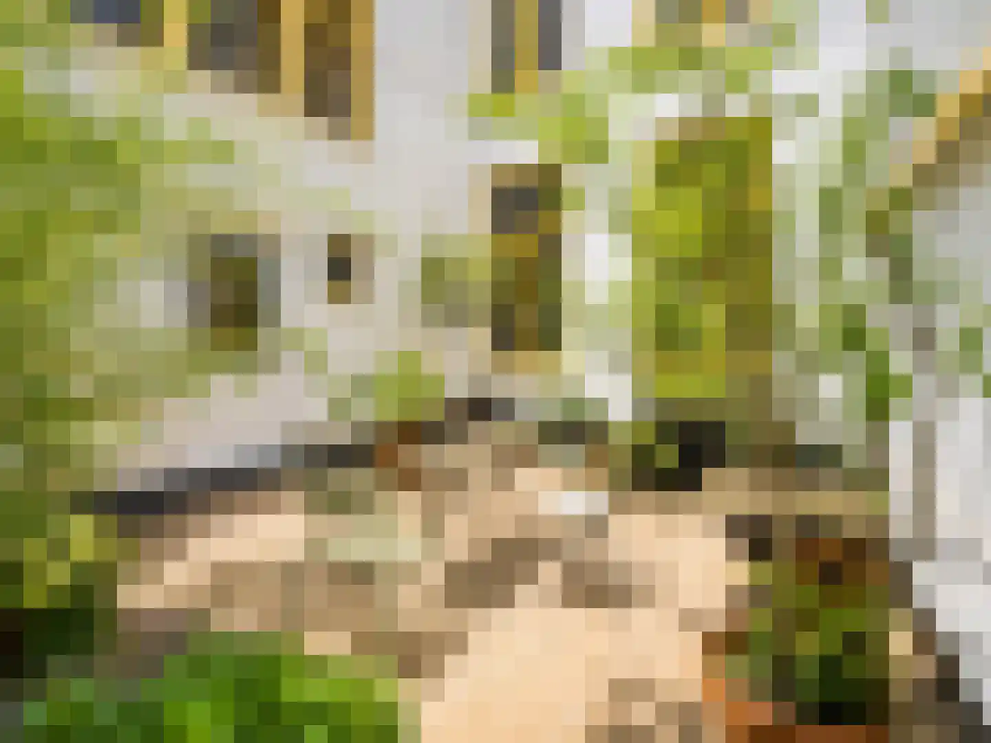 Herestraat 88 Groningen thumbnail 38