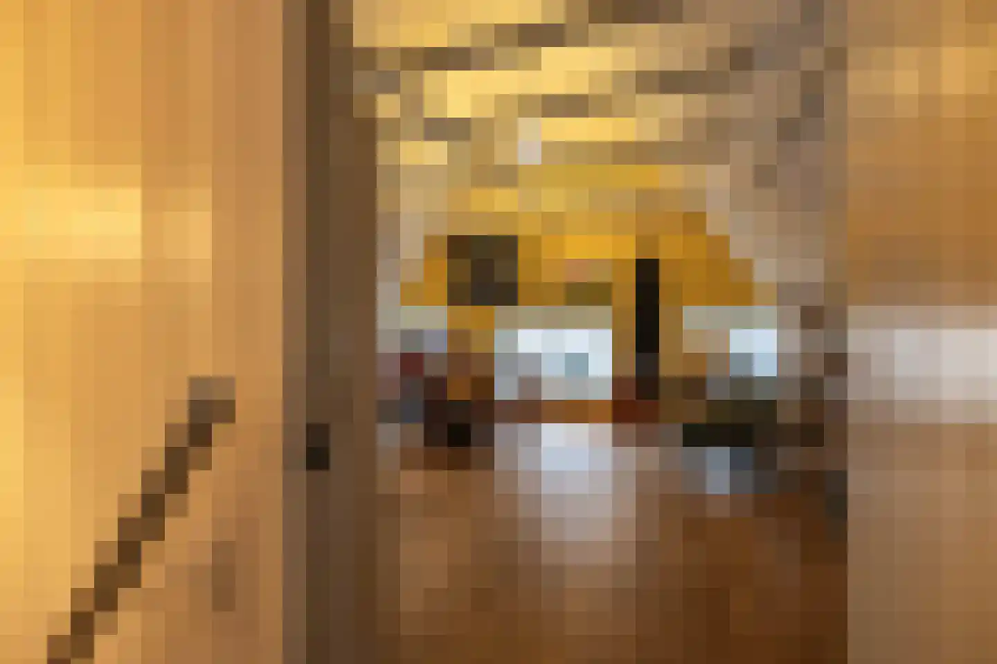 Herestraat 88 Groningen thumbnail 49