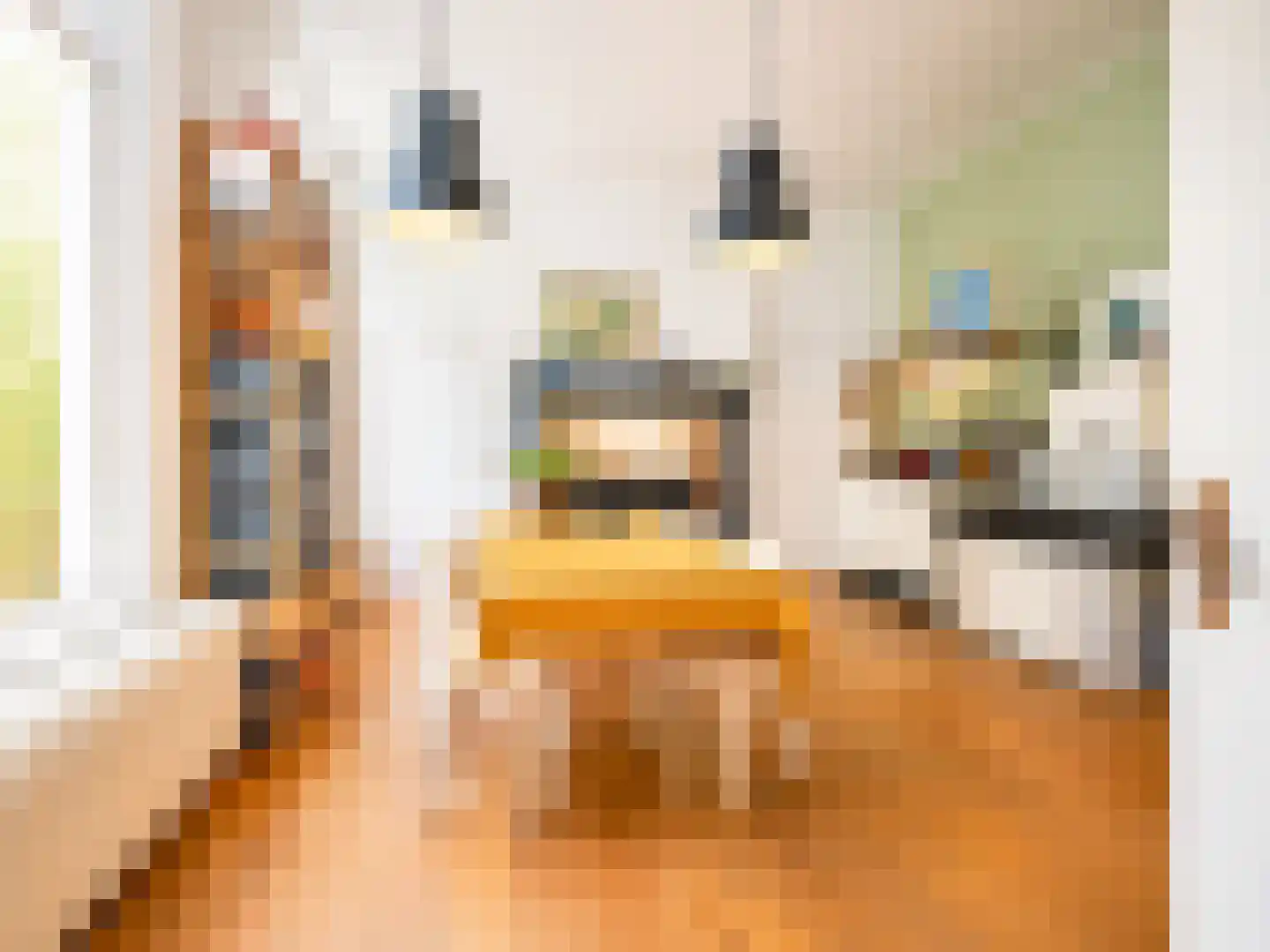Herestraat 88 Groningen thumbnail 5
