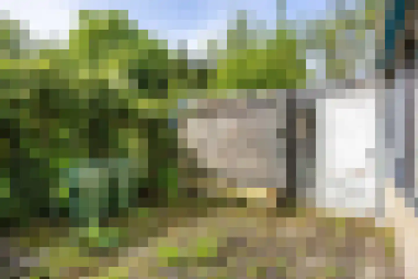 Hereweg 105 Bierum thumbnail 36