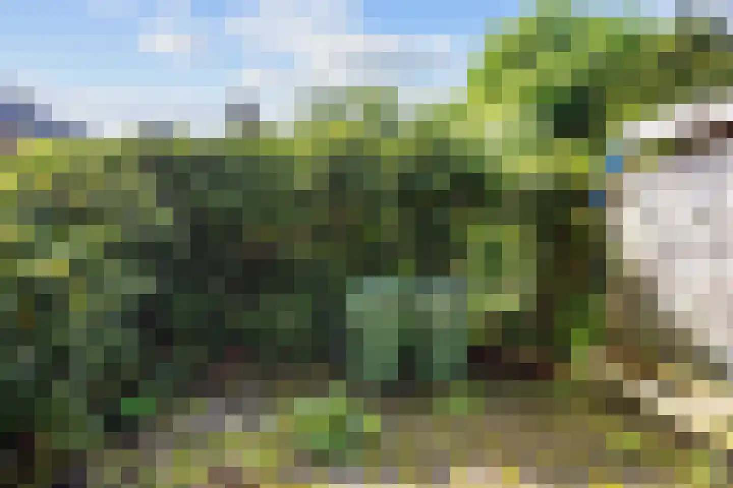 Hereweg 105 Bierum thumbnail 37