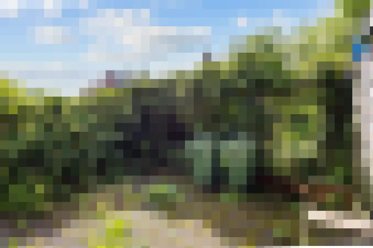Hereweg 105 Bierum thumbnail 38