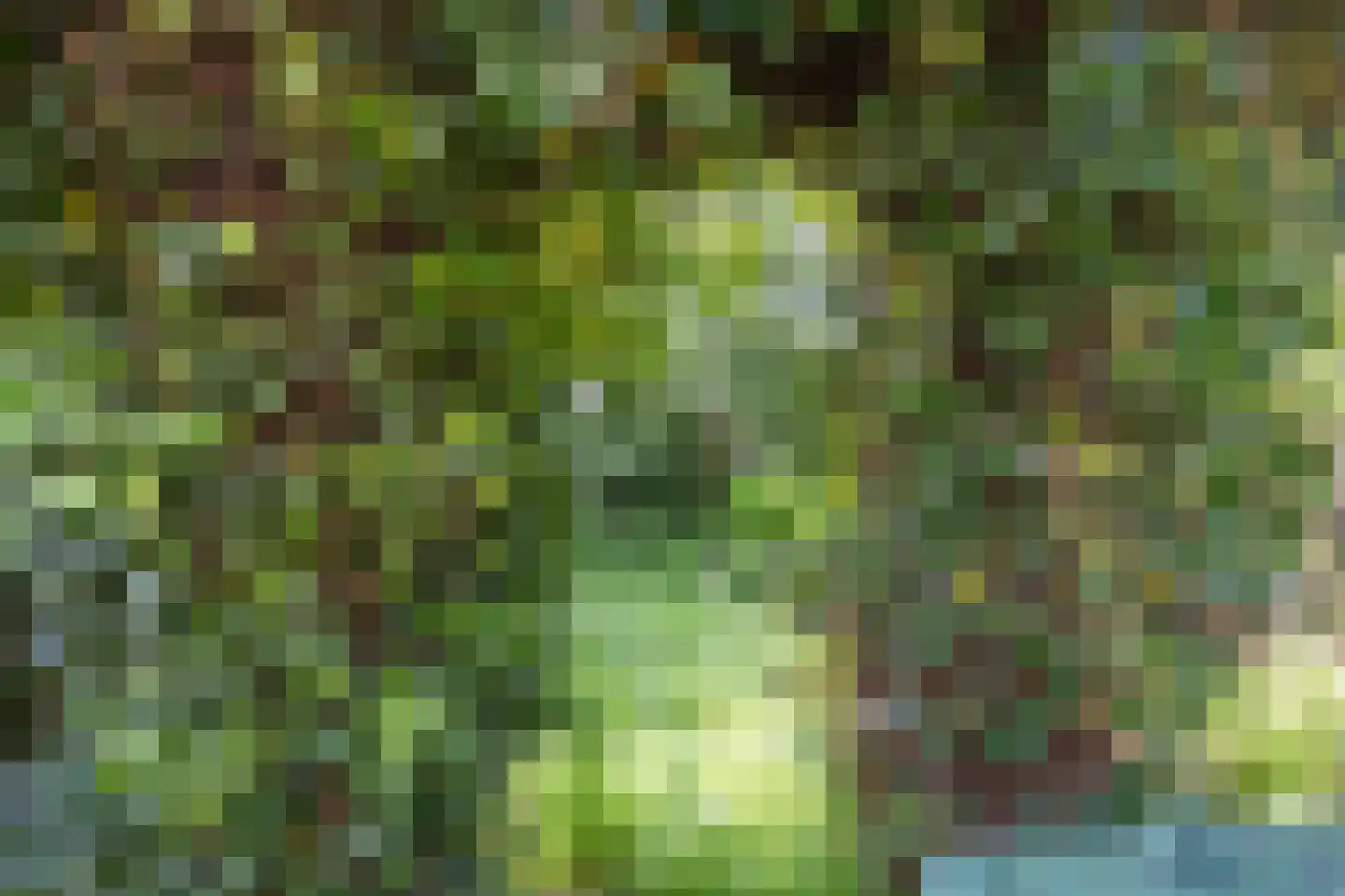 Hereweg 105 Bierum thumbnail 39