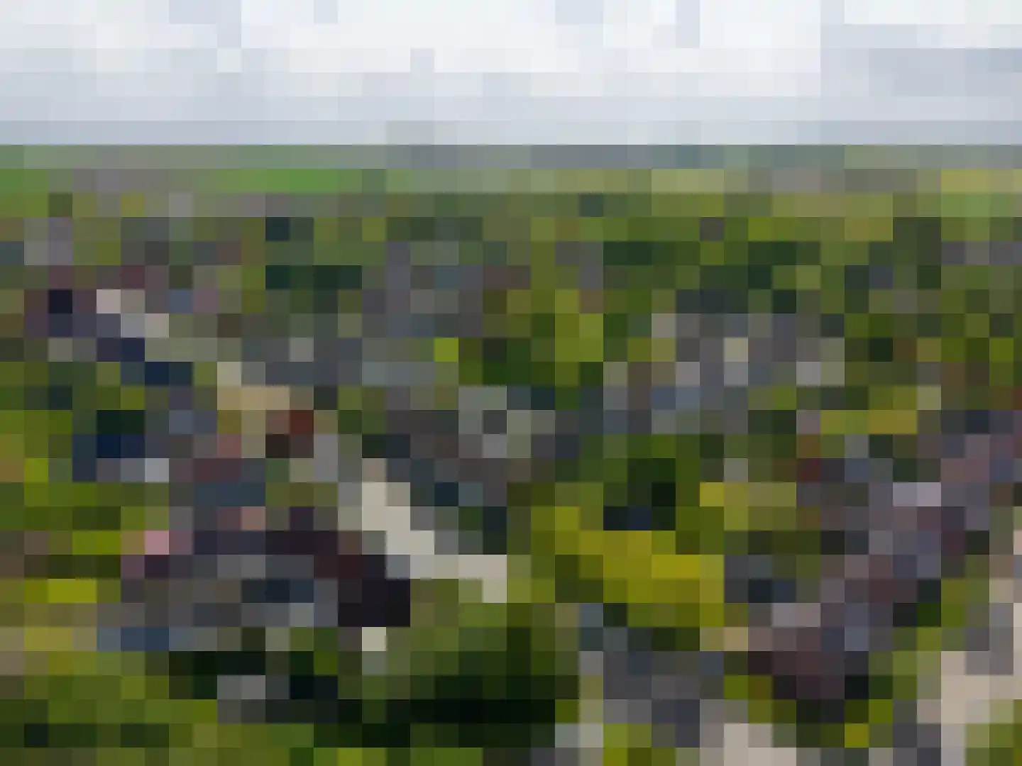 Hereweg 105 Bierum thumbnail 47