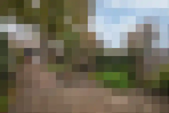 Hereweg 110 Landgraaf thumbnail 20