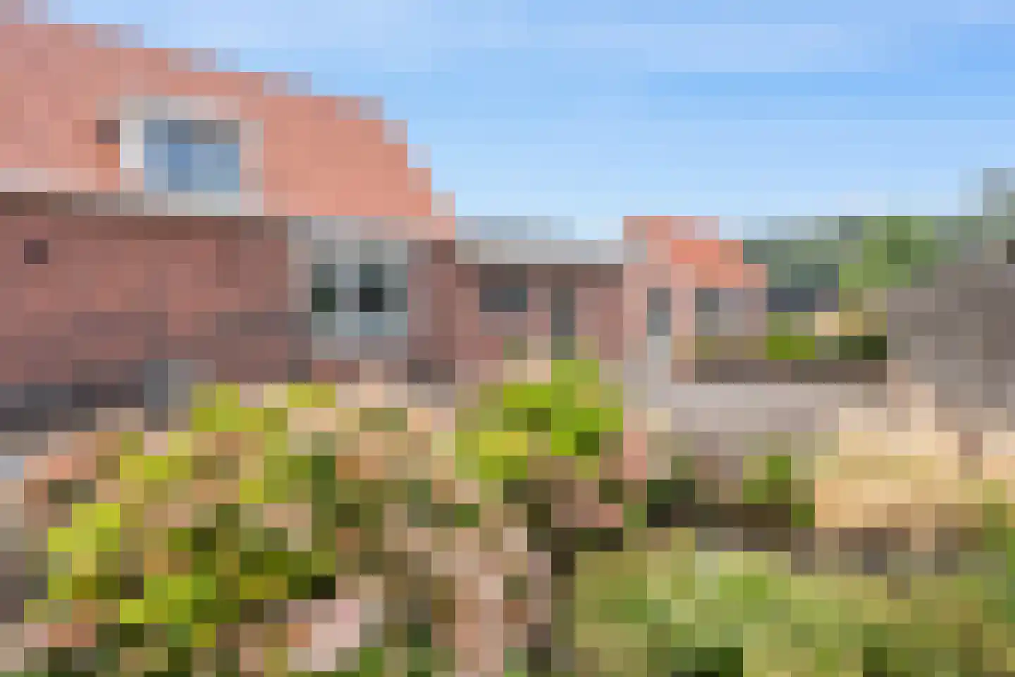 Hereweg 119 Meeden thumbnail 31